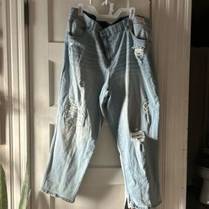 Terra & Sky Boyfriend Jeans 24w - Brand New with tags